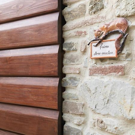 Tenuta La Borriana Carmignano Eksteriør billede